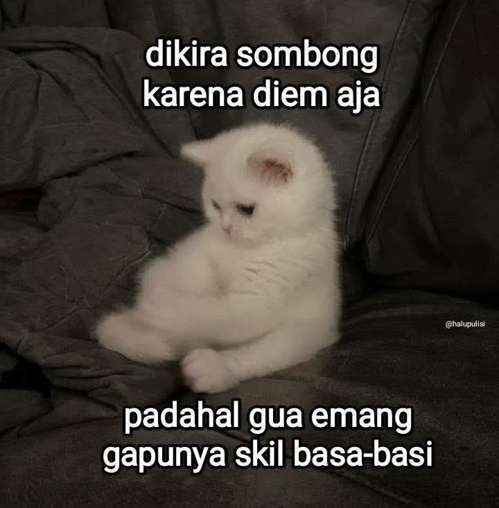 PP
